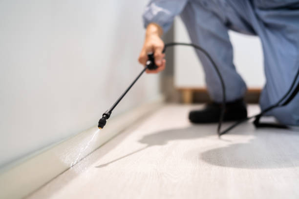 Professional exterminator conducting IPM assessment in Brazoria
